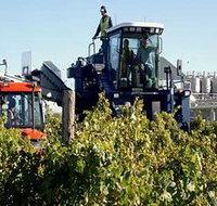 Ballast Stone Estate Wines Pty Ltd - Accommodation Resorts