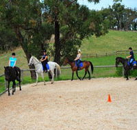 Megan Jones Riding School and Trail Rides - Accommodation Resorts