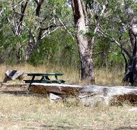 Penola Conservation Park - Accommodation Resorts