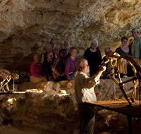Naracoorte Caves National Park - Accommodation Resorts