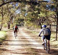 Bike About Mountain Bike Tours And Hire - Accommodation Resorts