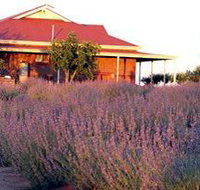 Bella Lavender Estate - Accommodation Resorts