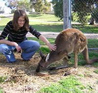 Pendleton Farmstay - Accommodation Resorts