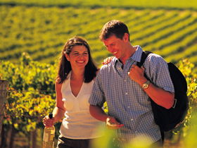 Lady Bay Vineyard - Accommodation Resorts 0
