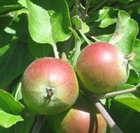 Sage Cooking School - Accommodation Resorts