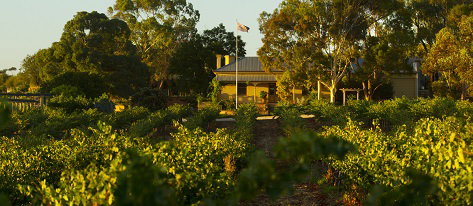 Greenock Creek Wines - Accommodation Resorts 2