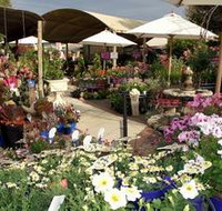 Serenity Nursery - Accommodation Resorts