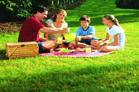  Accommodation Resorts