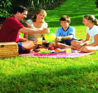 Bruny Island Berry Farm - Accommodation Resorts