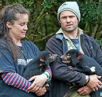 devilscradle - Accommodation Resorts