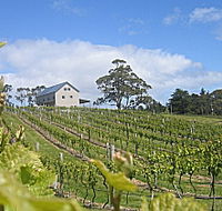 Bruny Island Premium Wines Bar and Grill - Accommodation Resorts