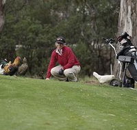 Tasmania Golf Club - The - Accommodation Resorts