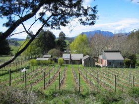 Wilmot TAS Accommodation Resorts