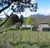 Wilmot Hills Vineyard - Accommodation Resorts