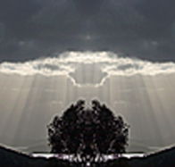 aart. Gallery of Fine Art - Accommodation Resorts