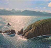 Colville Street Art Gallery - Accommodation Resorts