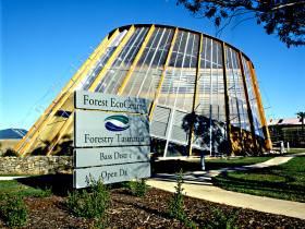 Forester TAS Accommodation Resorts