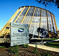 Forest EcoCentre - Accommodation Resorts