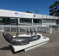 Australia's Antarctic Headquarters - Accommodation Resorts