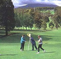 Deloraine Golf Course - Accommodation Resorts