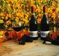 Craigow Vineyard - Accommodation Resorts