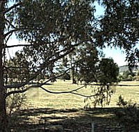 Cygnet Public Golf Course - Accommodation Resorts