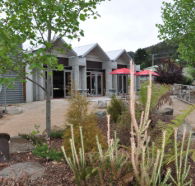 Tin Dragon Interpretation Centre and Cafe - Accommodation Resorts
