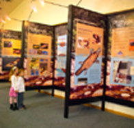 Platypus Experience - Accommodation Resorts