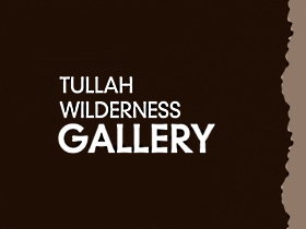 Tullah Wilderness Gallery - Accommodation Resorts 0