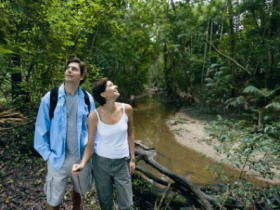 Mooloolah River National Park, Jowarra Section - Accommodation Resorts 0