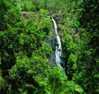 Kondalilla National Park - Accommodation Resorts