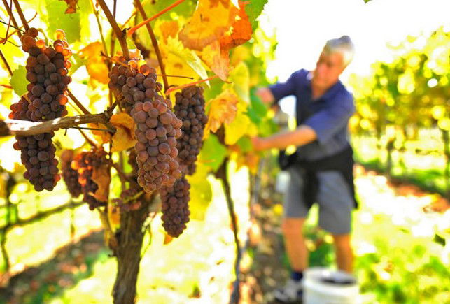 Windermere TAS Accommodation Resorts