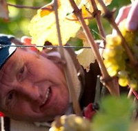 Puddleduck Vineyard - Accommodation Resorts