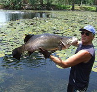 Barra Feeding - Accommodation Resorts