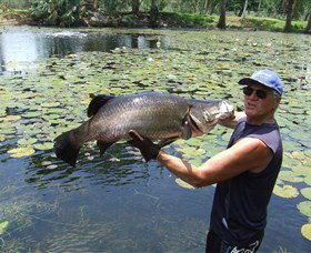 Barra Feeding - Accommodation Resorts 0