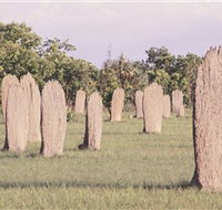 Magnetic Termite Mounds - Accommodation Resorts