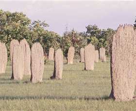 Magnetic Termite Mounds - Accommodation Resorts 0