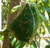 Greenant Creek Walk - Accommodation Resorts