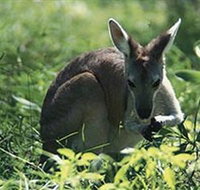 Tjaetaba Falls - Accommodation Resorts