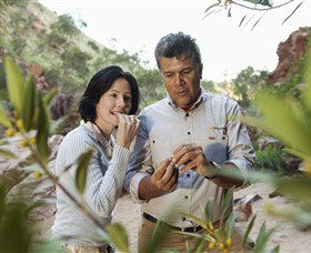 Simpsons Gap - Accommodation Resorts 0