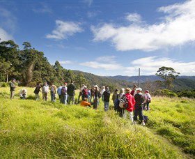 Neranwood QLD Accommodation Resorts