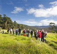 Apple Tree Park - Accommodation Resorts