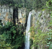 Gondwana Rainforests of Australia - Accommodation Resorts