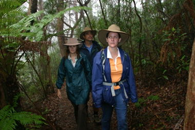 Mount Cougal, Springbrook National Park - Accommodation Resorts 0