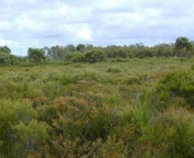 Pine Ridge Conservation Park - Accommodation Resorts 0