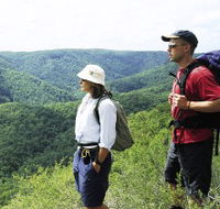 Sunshine Coast Hinterland Great Walk - Accommodation Resorts