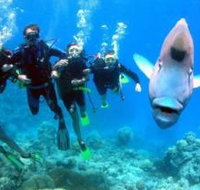 Magic Mountain Dive Site - Accommodation Resorts