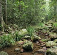 Amamoor State Forest - Accommodation Resorts