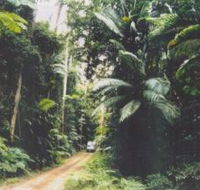 Conondale Great Walk - Accommodation Resorts