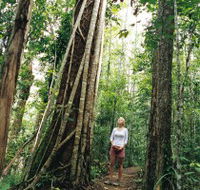 Wet Tropics - Accommodation Resorts